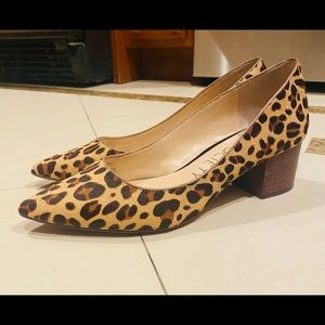 SOLE SOCIETY Andorra leopard print pumps 7.5